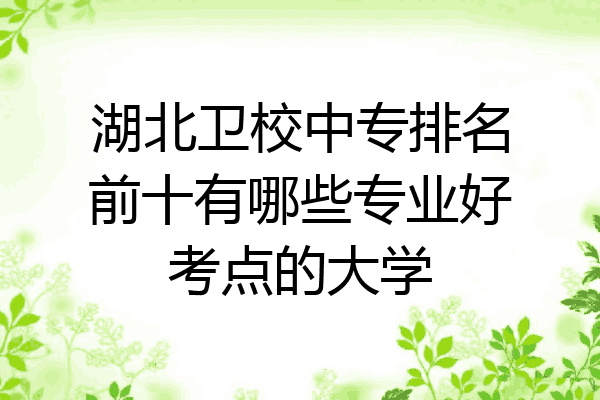 湖北卫校中专排名前十有哪些专业好考点的大学