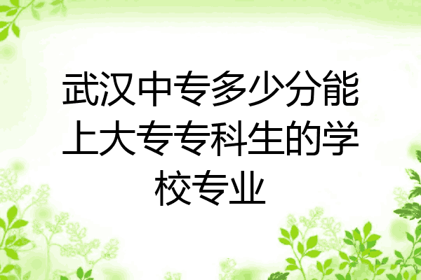 武汉中专多少分能上大专专科生的学校专业