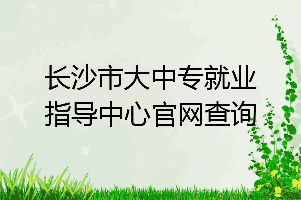 长沙市大中专就业指导中心官网查询