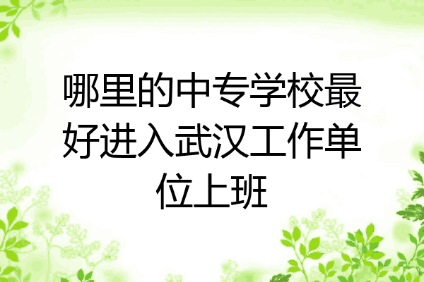 哪里的中专学校最好进入武汉工作单位上班