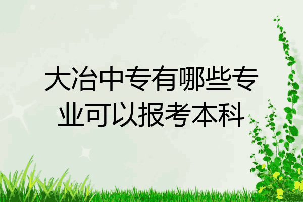 大冶中专有哪些专业可以报考本科