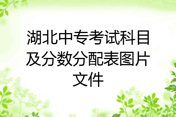 湖北中专考试科目及分数分配表图片文件