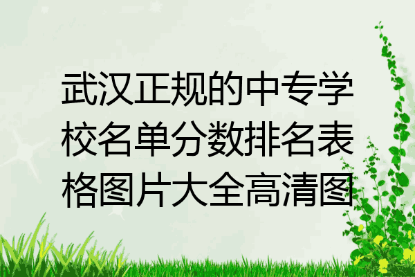 武汉正规的中专学校名单分数排名表格图片大全高清图