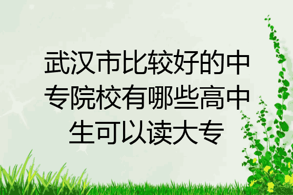 武汉市比较好的中专院校有哪些高中生可以读大专