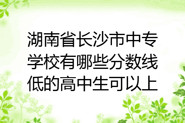 湖南省长沙市中专学校有哪些分数线低的高中生可以上