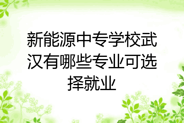 新能源中专学校武汉有哪些专业可选择就业