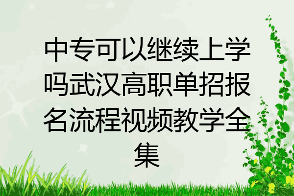 中专可以继续上学吗武汉高职单招报名流程视频教学全集