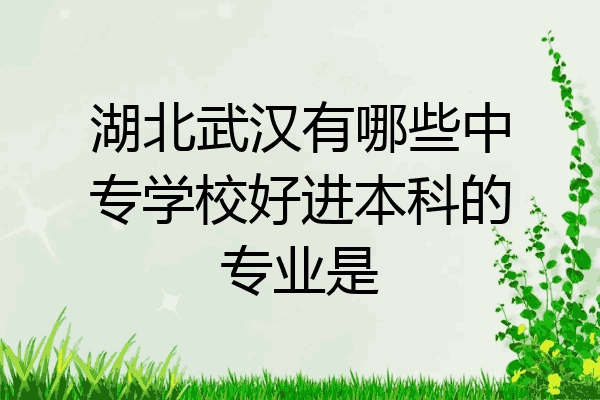 湖北武汉有哪些中专学校好进本科的专业是