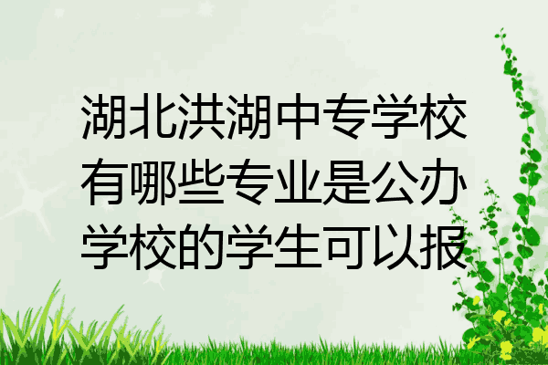 湖北洪湖中专学校有哪些专业是公办学校的学生可以报
