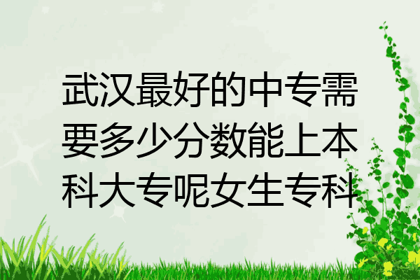 武汉最好的中专需要多少分数能上本科大专呢女生专科