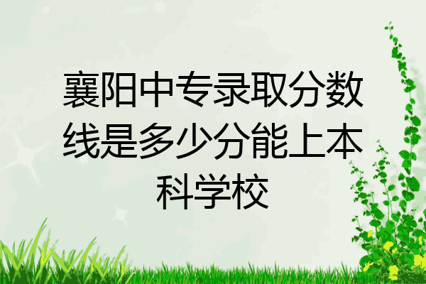 襄阳中专录取分数线是多少分能上本科学校
