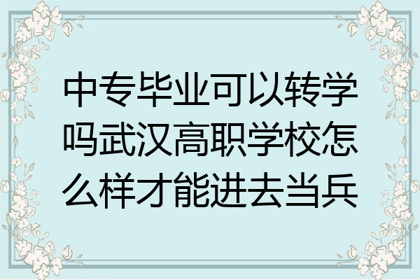 中专毕业可以转学吗武汉高职学校怎么样才能进去当兵