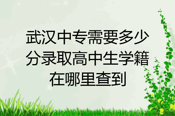 武汉中专需要多少分录取高中生学籍在哪里查到