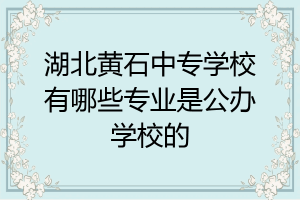 湖北黄石中专学校有哪些专业是公办学校的