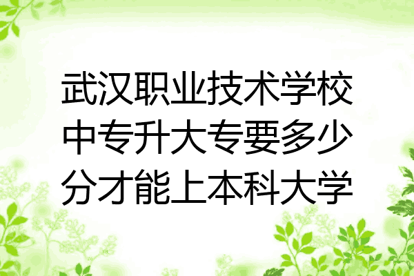 武汉职业技术学校中专升大专要多少分才能上本科大学