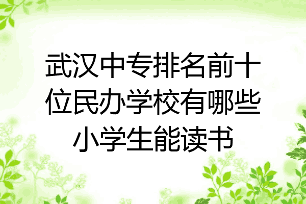 武汉中专排名前十位民办学校有哪些小学生能读书