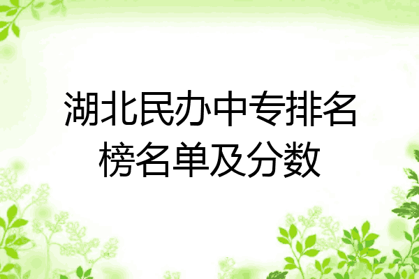 湖北民办中专排名榜名单及分数