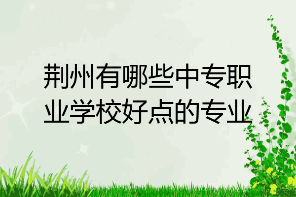荆州有哪些中专职业学校好点的专业