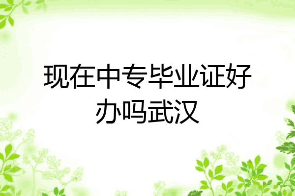 现在中专毕业证好办吗武汉