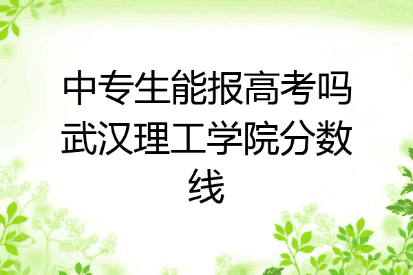 中专生能报高考吗武汉理工学院分数线