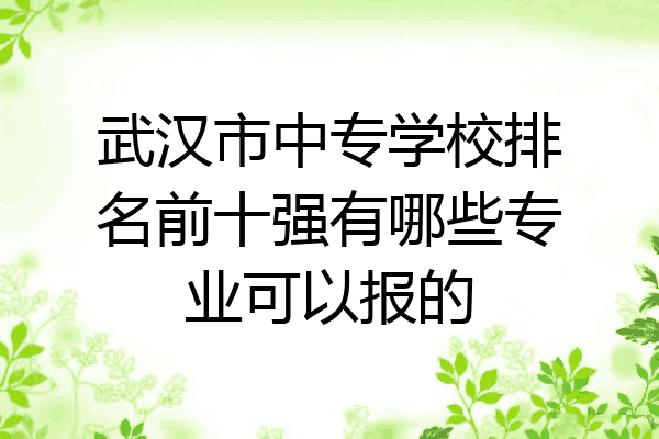 武汉市中专学校排名前十强有哪些专业可以报的