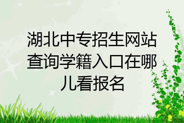 湖北中专招生网站查询学籍入口在哪儿看报名