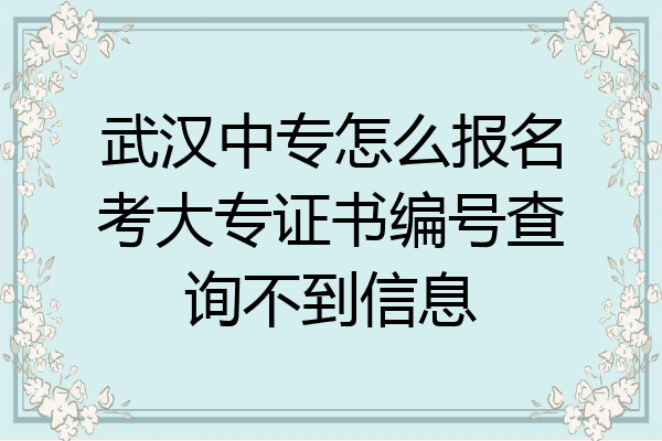 武汉中专怎么报名考大专证书编号查询不到信息