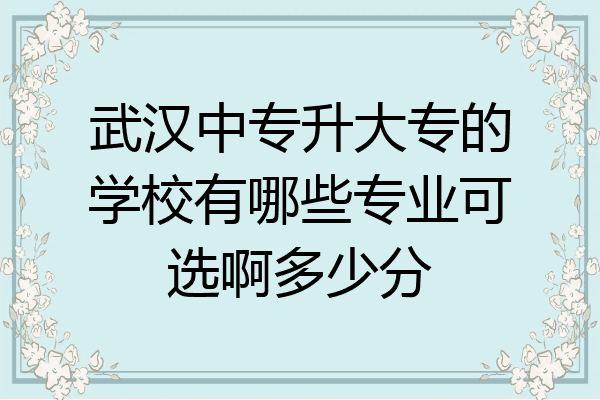 武汉中专升大专的学校有哪些专业可选啊多少分