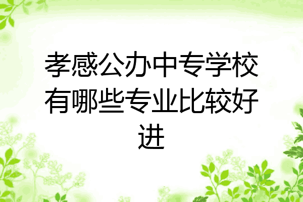 孝感公办中专学校有哪些专业比较好进