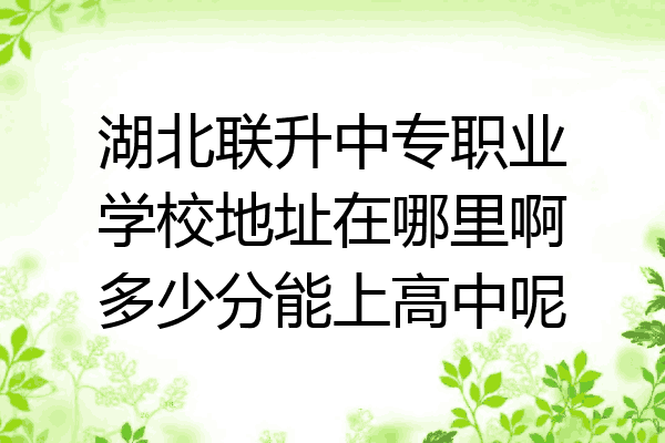 湖北联升中专职业学校地址在哪里啊多少分能上高中呢