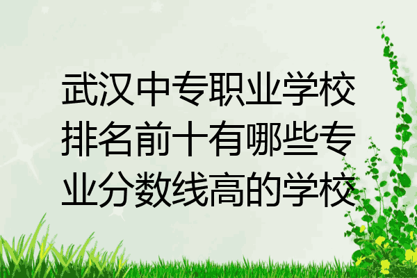 武汉中专职业学校排名前十有哪些专业分数线高的学校