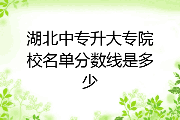 湖北中专升大专院校名单分数线是多少
