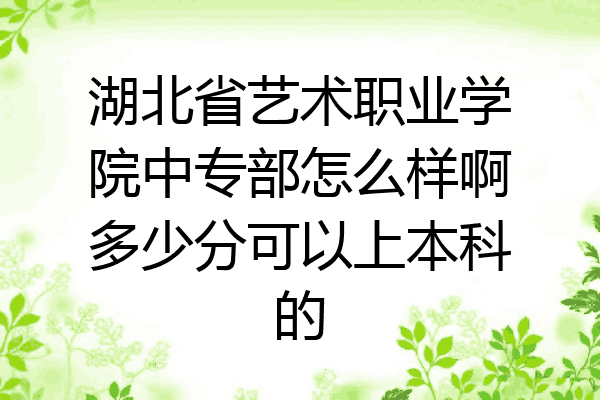 湖北省艺术职业学院中专部怎么样啊多少分可以上本科的