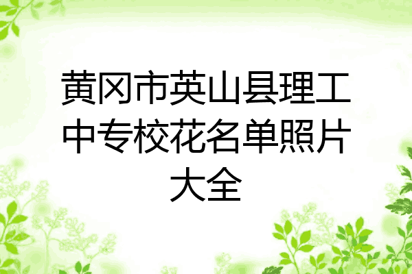 黄冈市英山县理工中专校花名单照片大全