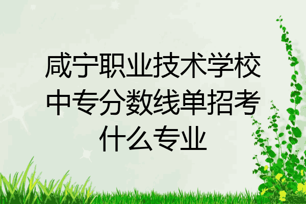 咸宁职业技术学校中专分数线单招考什么专业