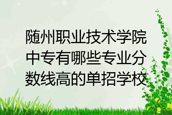 随州职业技术学院中专有哪些专业分数线高的单招学校
