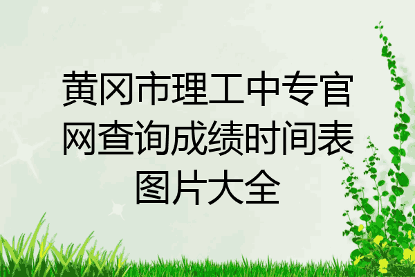 黄冈市理工中专官网查询成绩时间表图片大全