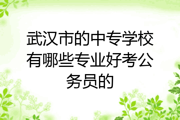 武汉市的中专学校有哪些专业好考公务员的