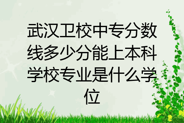 武汉卫校中专分数线多少分能上本科学校专业是什么学位