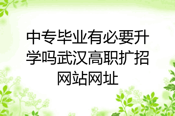 中专毕业有必要升学吗武汉高职扩招网站网址