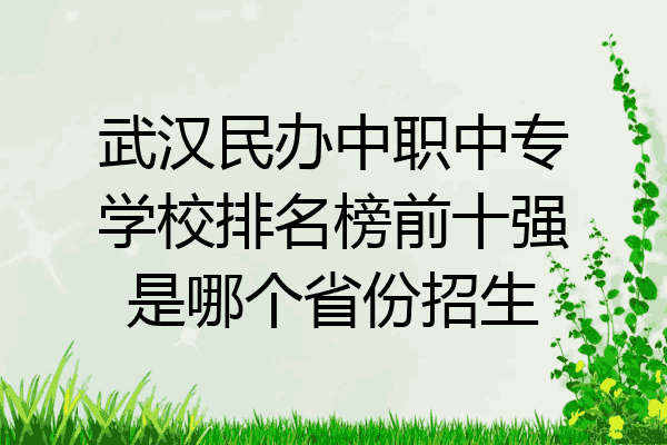 武汉民办中职中专学校排名榜前十强是哪个省份招生