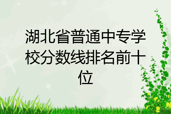 湖北省普通中专学校分数线排名前十位