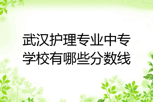 武汉护理专业中专学校有哪些分数线