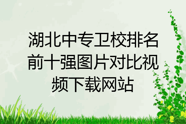 湖北中专卫校排名前十强图片对比视频下载网站