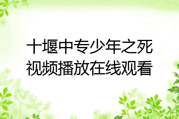 十堰中专少年之死视频播放在线观看
