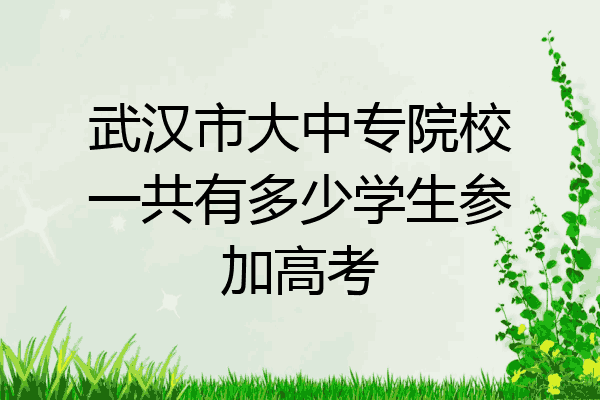 武汉市大中专院校一共有多少学生参加高考