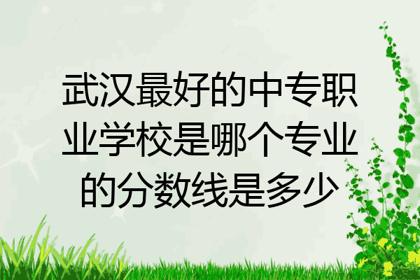 武汉最好的中专职业学校是哪个专业的分数线是多少