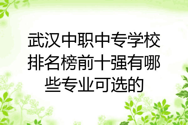 武汉中职中专学校排名榜前十强有哪些专业可选的