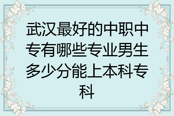 武汉最好的中职中专有哪些专业男生多少分能上本科专科