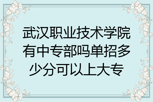 武汉职业技术学院有中专部吗单招多少分可以上大专